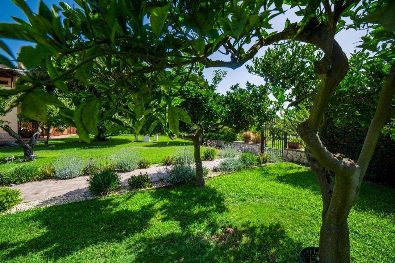 I Lecci Bed & Breakfast San Felice Circeo