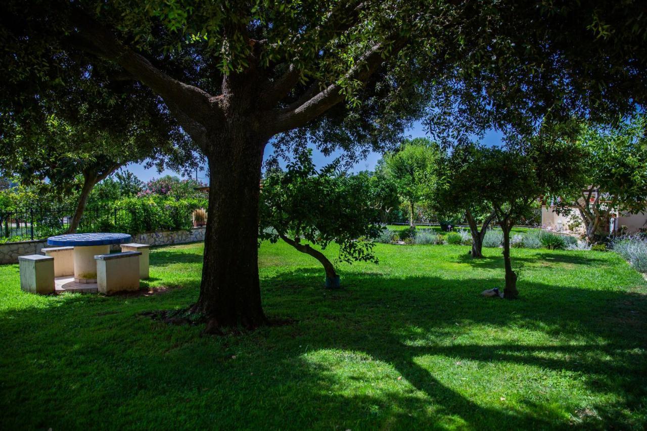 I Lecci * San Felice Circeo
