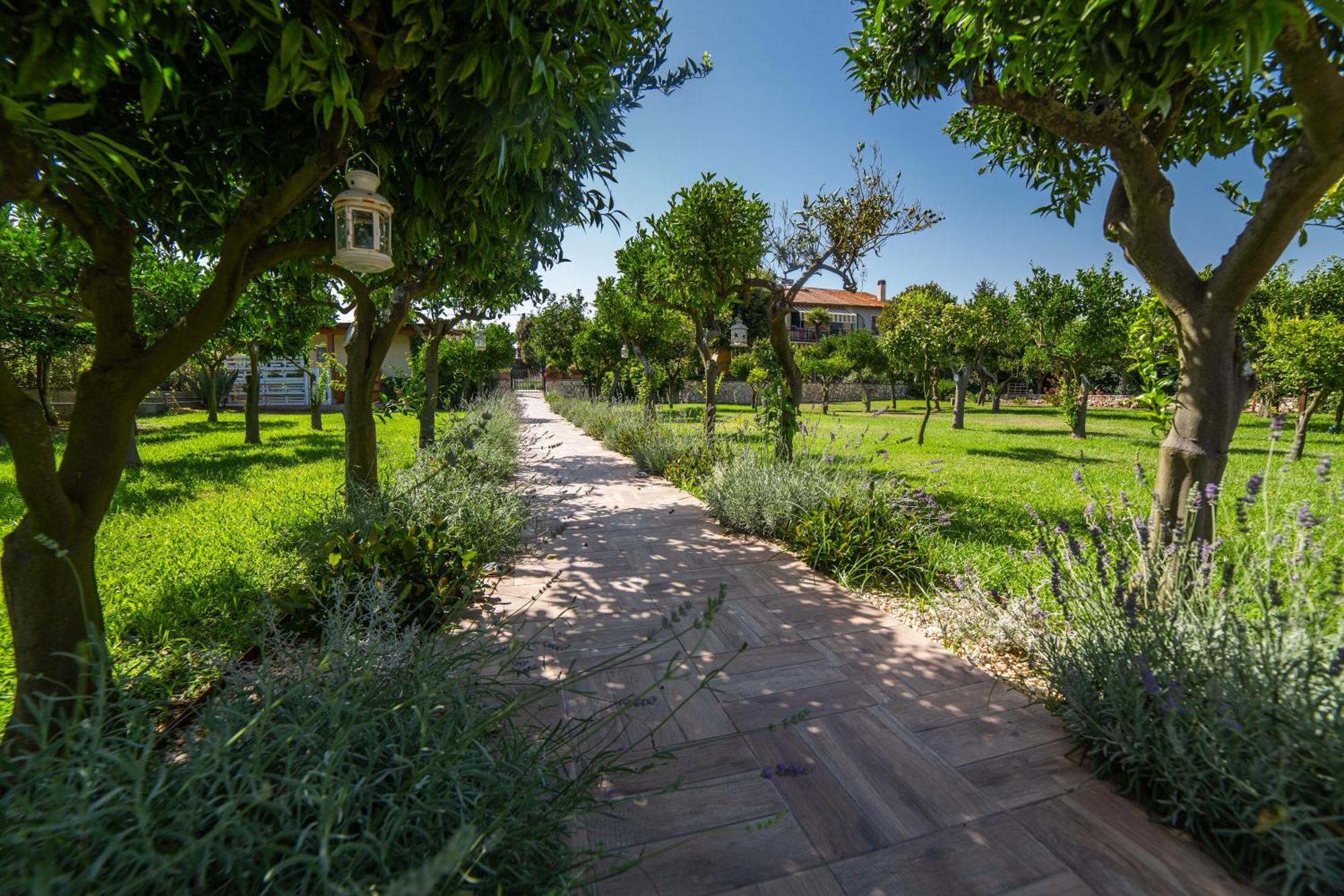 Bed & Breakfast I Lecci San Felice Circeo