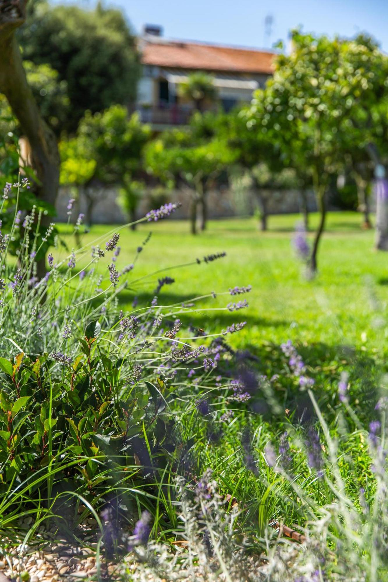 Bed & Breakfast I Lecci San Felice Circeo